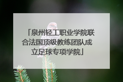 泉州轻工职业学院联合法国顶级教练团队成立足球专项学院